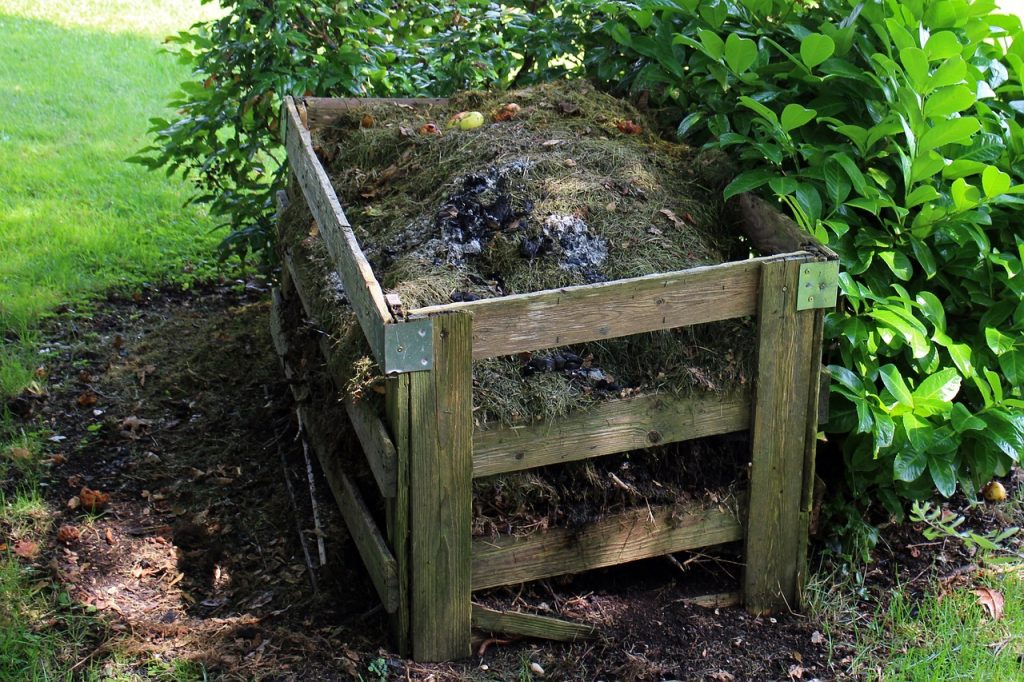 prepara compost para abonar tu árbol de aguacate en maceta