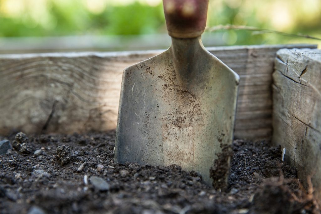 como preparar el suelo para sembrar aguacate